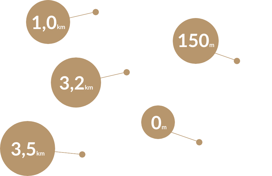 MITTEN AM  PULS DER STADT.